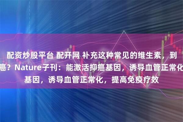 配资炒股平台 配开网 补充这种常见的维生素，到底是致癌还是抗癌？Nature子刊：能激活抑癌基因，诱导血管正常化，提高免疫疗效