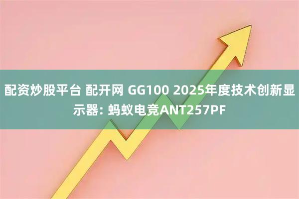 配资炒股平台 配开网 GG100 2025年度技术创新显示器: 蚂蚁电竞ANT257PF