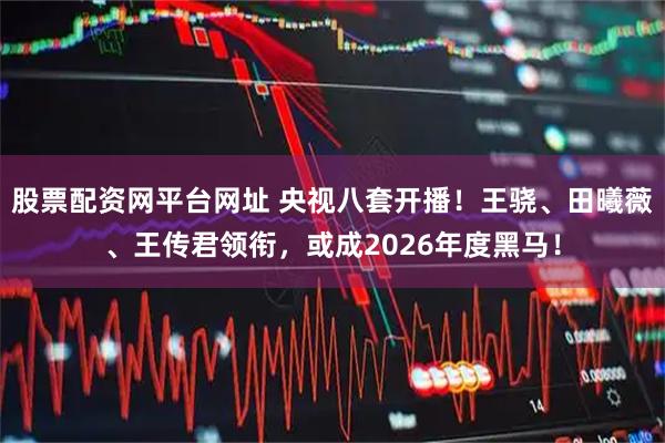 股票配资网平台网址 央视八套开播！王骁、田曦薇、王传君领衔，或成2026年度黑马！