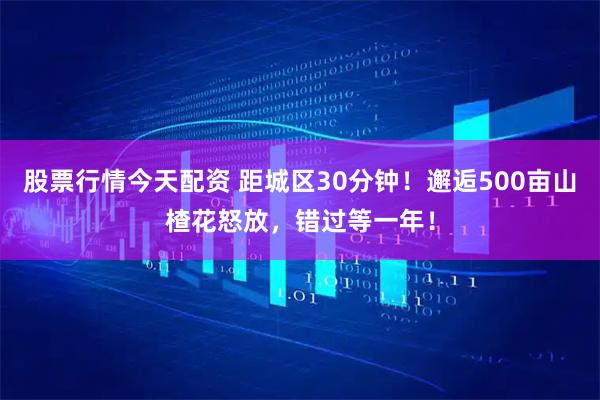 股票行情今天配资 距城区30分钟！邂逅500亩山楂花怒放，错过等一年！