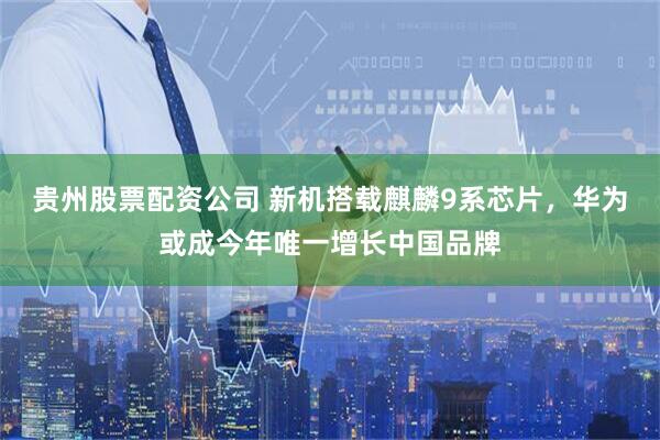 贵州股票配资公司 新机搭载麒麟9系芯片，华为或成今年唯一增长中国品牌